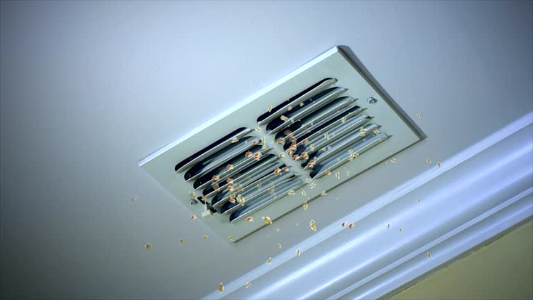 Best HVAC Duct Inspection Services  in Talpa, NM