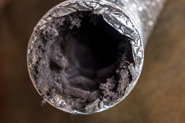 Best Emergency Air Duct Cleaning  in Talpa, NM