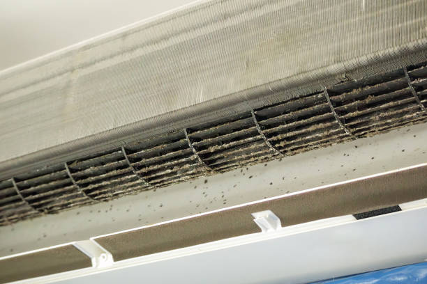 Best Ductwork Cleaning Services  in Talpa, NM
